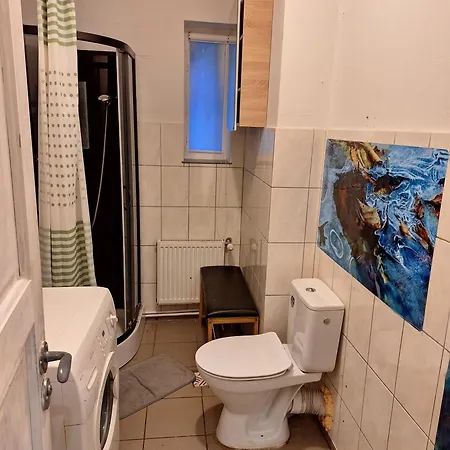 Kambario Nuoma Su Bendru Vonios Kambariu * Kaunas