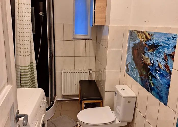 Kambario Nuoma Su Bendru Vonios Kambariu * 考纳斯